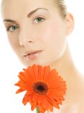 Woman With Gerber Flower Stock Images