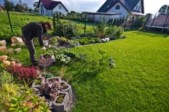 Woman working in a garden, cutting excess twigs of plants Royalty Free Stock Image Woman working in a garden, cutting excess twigs of plants Royalty Free Stock Image