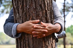 Women hand Hug tree stock image Women hand Hug tree stock image