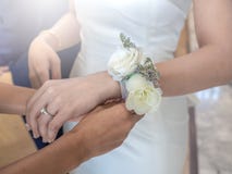 Women hands tying up white rose flower bracelet to the bride stock photos Women hands tying up white rose flower bracelet to the bride stock photos