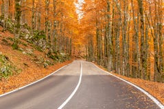 The wonderful Autumn colors of Abruzzo, Lazio and Molise National Park, Italy