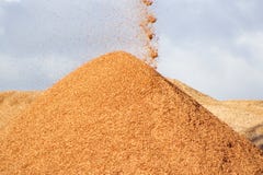 Wood Chips Stock Photos