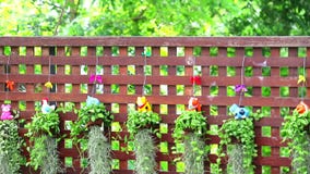 Wood Fence and Animals Pot Flower and Decorate Plant Hanging in Garden  Stock Footage - Video of food, bright: 166454922