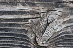 Wood grain and knot Stock Images Wood grain and knot Stock Images
