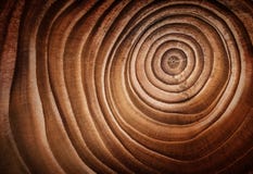 Free Wood Larch Texture Of Cut Tree Trunk. Royalty Free Stock Photo - 109729025