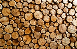 Wood Log Backround Royalty Free Stock Photo Wood Log Backround Royalty Free Stock Photo