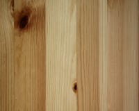 Wood Texture