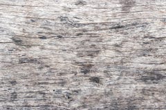 Wood texture. Wood texture for design and decoration. royalty free stock photos Wood texture. Wood texture for design and decoration. royalty free stock photos