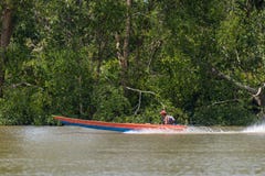 Wooden boat cruising Berau river, Borneo, Kalimantnan