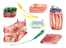Wooden box watercolor stock illustration Wooden box watercolor stock illustration