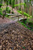 Wooden bridge above the brook in pine forest royalty free stock photography Wooden bridge above the brook in pine forest royalty free stock photography