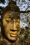 Wooden Buddha Statue with Trees background stock photography Wooden Buddha Statue with Trees background stock photography