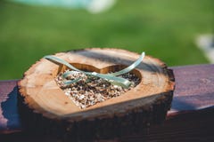 Wooden holder for wedding rings. Close up view Stock Photography Wooden holder for wedding rings. Close up view Stock Photography