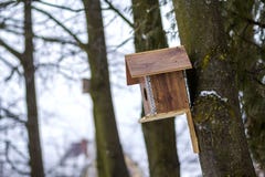 A wooden house for birds on the tree in the forest. Place to feed and to find food in winter time for birds. Bird feeder in park. Royalty Free Stock Photo A wooden house for birds on the tree in the forest. Place to feed and to find food in winter time for birds. Bird feeder in park. Royalty Free Stock Photo