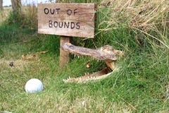 A Wooden Sign. Beware Of Alligator