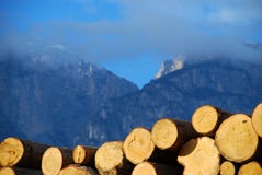 Woodpile Stock Photography Woodpile Stock Photography