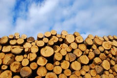 Woodpile Royalty Free Stock Photography Woodpile Royalty Free Stock Photography
