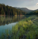 Woods Lake Royalty Free Stock Images Woods Lake Royalty Free Stock Images