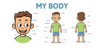 Woordenschat voor delen van mannelijk lichaam Het lichaam van de beeldverhaaljongen met beschrijving Vlakke vector horizontale il stock illustratie Woordenschat voor delen van mannelijk lichaam Het lichaam van de beeldverhaaljongen met beschrijving Vlakke vector horizontale il stock illustratie