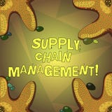 Word écrivant le supply chain management des textes Concept d'affaires pour l'analysisagement du flux des biens et des services illustration de vecteur Word écrivant le supply chain management des textes Concept d'affaires pour l'analysisagement du flux des biens et des services illustration de vecteur