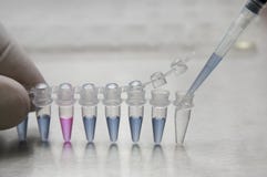 Work With Laboratory Test Tubes Royalty Free Stock Image