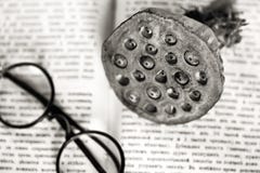 Workplace of the scientist. Opened ancient book, round glasses, lotus fruit. Royalty Free Stock Image Workplace of the scientist. Opened ancient book, round glasses, lotus fruit. Royalty Free Stock Image
