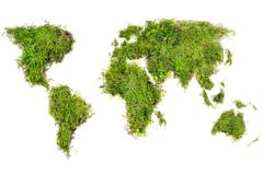 World map placed of natural turf with moss, isolated on white royalty free stock photography World map placed of natural turf with moss, isolated on white royalty free stock photography