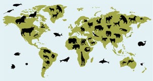 World Map With Pictures Of Animals World Map With Pictures Of Animals