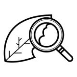 Worm Leaf icon vector illustration Worm Leaf icon vector illustration