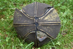 The worn-out,deflated basketball ball in the grass stock image The worn-out,deflated basketball ball in the grass stock image