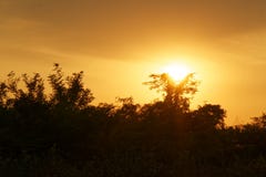 Wspaniały wschód słońca w Afryka, safari, Etiopia zdjęcia stock Wspaniały wschód słońca w Afryka, safari, Etiopia zdjęcia stock