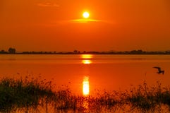 Wuhan city sunset scenery in summer royalty free stock photo Wuhan city sunset scenery in summer royalty free stock photo