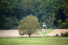 Wysoki siedzenie przy krawędzią las Zdjęcie Stock Wysoki siedzenie przy krawędzią las Zdjęcie Stock
