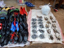 Wysuszona ryba i buty dla sprzedaży w rynku w Mozambik obraz stock Wysuszona ryba i buty dla sprzedaży w rynku w Mozambik obraz stock