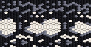 Wąż skóra pattern Czarny i biały skóry skóry tekstura Zwierzęcej skóry wzór Mody tkaniny tło gad ilustracja wektor Wąż skóra pattern Czarny i biały skóry skóry tekstura Zwierzęcej skóry wzór Mody tkaniny tło gad ilustracja wektor