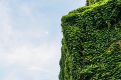 Włoska willa w Mediolan zakrywał w pięknych zielonych liściach w wiośnie z kopii przestrzenią, przeciw niebieskiemu niebu fotografia stock Włoska willa w Mediolan zakrywał w pięknych zielonych liściach w wiośnie z kopii przestrzenią, przeciw niebieskiemu niebu fotografia stock