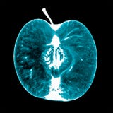 X-ray Of The Apple Stock Photo X-ray Of The Apple Stock Photo