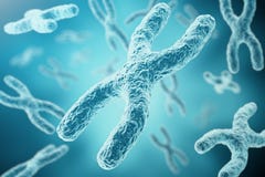 X-y-Chromosomen als Konzept für Symbol-Gentherapie der Humanbiologie medizinische oder Mikrobiologiegenetikforschung 3d vektor abbildung X-y-Chromosomen als Konzept für Symbol-Gentherapie der Humanbiologie medizinische oder Mikrobiologiegenetikforschung 3d vektor abbildung