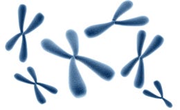 3D rendered illustration of chromosomes. Genetics concept vector illustration 3D rendered illustration of chromosomes. Genetics concept vector illustration