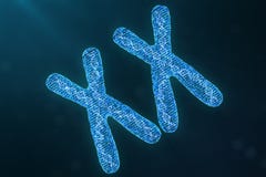 XX digital, cromossomas artificiais com o ADN que leva o código genético Conceito da genética, conceito da inteligência artificia ilustração stock XX digital, cromossomas artificiais com o ADN que leva o código genético Conceito da genética, conceito da inteligência artificia ilustração stock