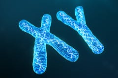 XY цифровые, искусственные хромосомы с ДНК нося генетический код Концепция генетики, концепция искусственного интеллекта стоковое фото rf XY цифровые, искусственные хромосомы с ДНК нося генетический код Концепция генетики, концепция искусственного интеллекта стоковое фото rf