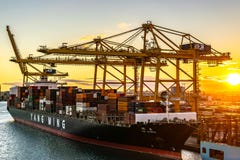 Yang Ming Cargo Vessel entrou no porto de Barcelona no por do sol imagem de stock royalty free Yang Ming Cargo Vessel entrou no porto de Barcelona no por do sol imagem de stock royalty free