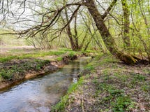 The Yazvenka river flowing through the territory of the Tsaritsyno estate. Moscow. Russian Federation. royalty free stock photos The Yazvenka river flowing through the territory of the Tsaritsyno estate. Moscow. Russian Federation. royalty free stock photos