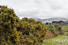 Spring in Mourne Mountains Stock Images Spring in Mourne Mountains Stock Images