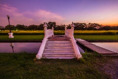 Yellow fields of Crotalaria junceasunn hemp and small white bridge at Phutthamonthon Public Park,Nakhon Pathom Province,Thailand stock image Yellow fields of Crotalaria junceasunn hemp and small white bridge at Phutthamonthon Public Park,Nakhon Pathom Province,Thailand stock image
