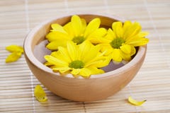 Yellow Flowers In Wooden Bow Stock Photo