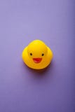 Yellow funny duck toy on purple background, vertical royalty free stock image Yellow funny duck toy on purple background, vertical royalty free stock image