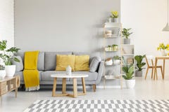 Yellow pillows and blanket on grey sofa in modern living room in