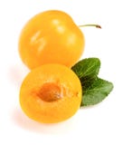 Yellow plum with leaves isolated on white background stock image Yellow plum with leaves isolated on white background stock image