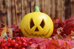 Yellow pumpkin for halloween in autumn bright leaves royalty free stock photo Yellow pumpkin for halloween in autumn bright leaves royalty free stock photo
